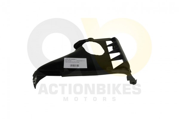 Actionbikes_Shineray_XY200ST_9_Verkleidung_Zylinde