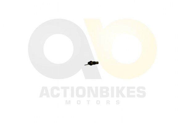 Actionbikes_GoKa_GK1100_2E_Temperatursensor_Wasser