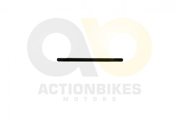 Actionbikes_Shineray_XY250SRM_Bolzen_A_Zylinder_22