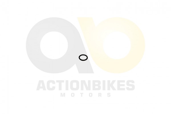 Actionbikes Speedstar-JLA-931E--Wasserrohr-Dichtring-15525--Kingwell-KWS14-Q300 4B575331342D31303038