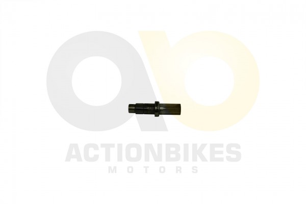 Actionbikes_Motor_250cc_CF172MM_Nebenwelle_Ausgang