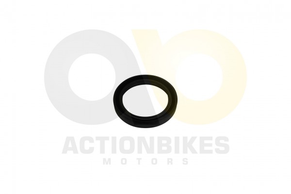 Actionbikes_Simmerring_486510_Differential_vorne_E