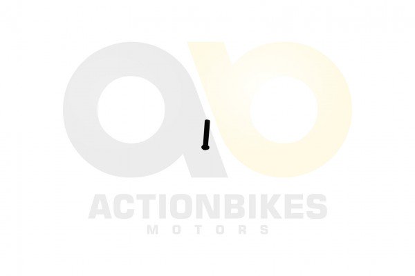 Actionbikes_XYPower_XY500UTV_Trschanier_Bolzen_474