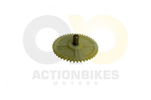 Actionbikes_139QMB_lpumpe_Steuerzahnrad_313339514D