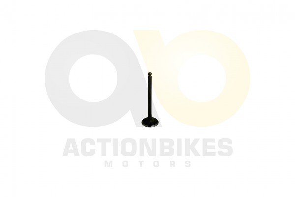 Actionbikes_LJ276M_650_cc_Auslaventil_323730512D30
