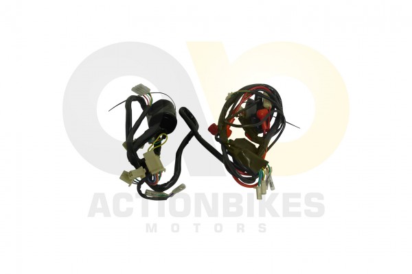 Actionbikes Znen-ZN125QT-Legend-Kabelbaum 33323130302D414C41332D45303030 01 WZ 1620x1080