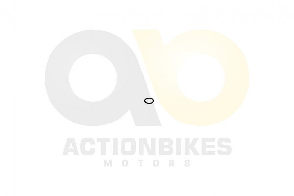 Actionbikes_Xingyue_ATV_400cc_Dichtring_Steuerkett