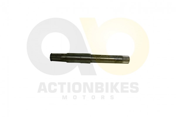 Actionbikes_Motor_260cc_XY170MM_Differenzialausgan56c1d1cfea125