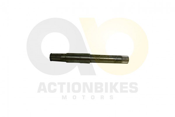 Actionbikes_Motor_260cc_XY170MM_Differenzialausgan56c1d1cfea125