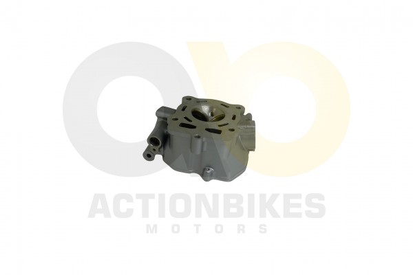 Actionbikes_Shineray_XY250SRM_Zylinderkopf_Modell_