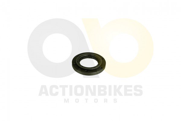 Actionbikes_Motor_500_cc_CF188_Freilauf_4346313838
