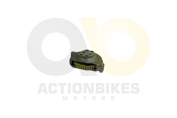 Actionbikes_Shineray_XY250STXE_lpumpe_31353131322D