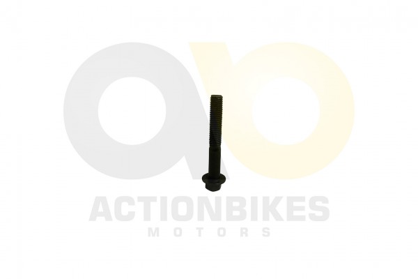 Actionbikes_Shineray_XY250STXE_Schraube_M855_fr_Le