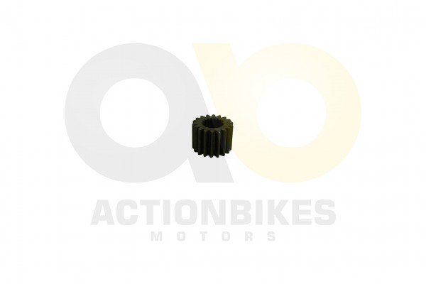 Actionbikes_Shineray_XY250STXE_Primres_lpumpenzahn