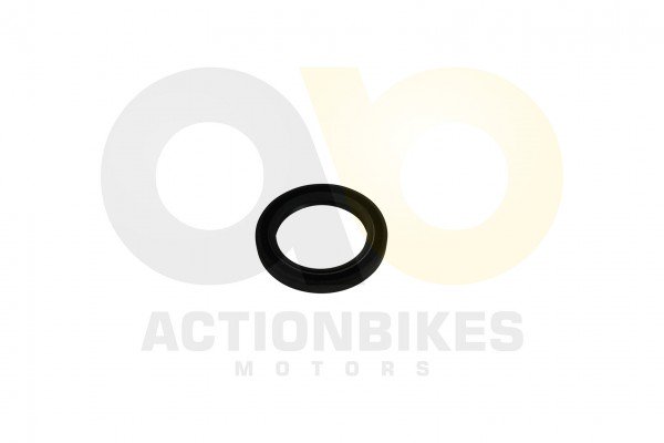 Actionbikes_Simmerring_45628_Bashan_STH_313030302D