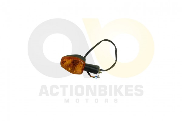 Actionbikes_Shineray_XY250SRM_Blinker_hinten_links