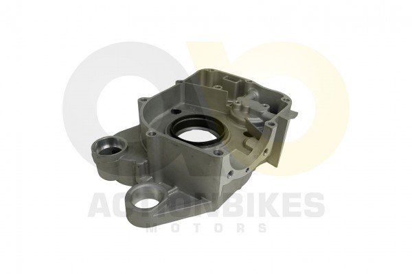 Actionbikes_Shineray_XY150STE_Motorhlfte_rechts_47