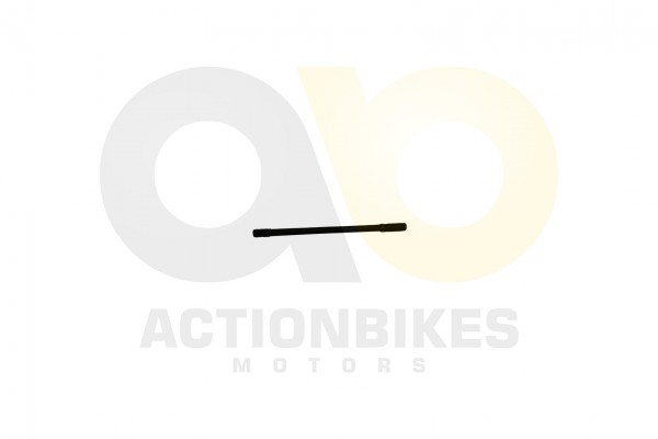 Actionbikes_Shineray_XY250SRM_Bolzen_B_Zylinder_20