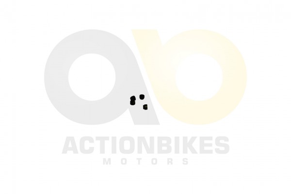 Actionbikes Feishen-Hunter-600cc-Ventilschaftdichtung-Set-4-Stk 322E312E30312E30343930 01 WZ 1620x10