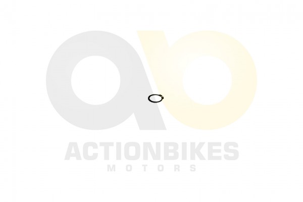 Actionbikes_XYPower_XY500ATV_CIRCLIP301_393536312D
