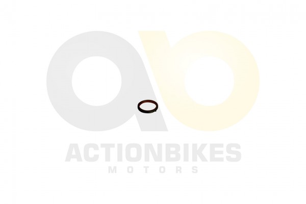 Actionbikes_Motor_500_cc_CF188_Dichtung_Krmmer_434