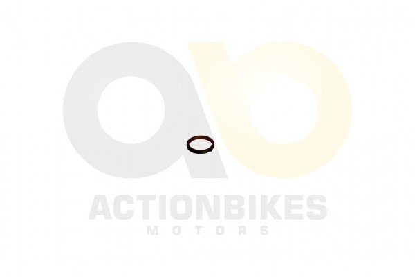 Actionbikes_Motor_500_cc_CF188_Dichtung_Krmmer_434