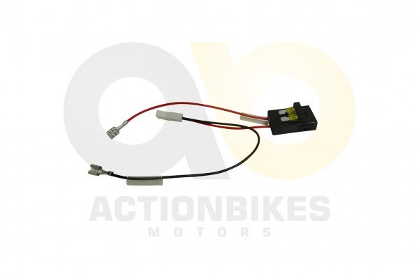 Actionbikes_Elektroauto_BMW_Z4_81800_ZHE_Sicherung