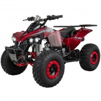 Benzin-Jugend-Quad S-10, 125 ccm, ATV, Gepäckträger, Halbautomatik, Scheibenbremse