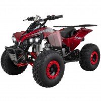 01-startbild-benzin-jugend-quad-metallic-rot-actionbikes-motors-s-10-125-cc 01-startbild-benzin-jugend-quad-metallic-rot-actionbikes-motors-s-10-125-cc