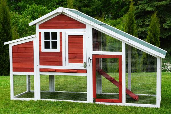 MyAnimal Hühnerstall für 4 Hühner Hühnerstall für 4 Hühner kaufen