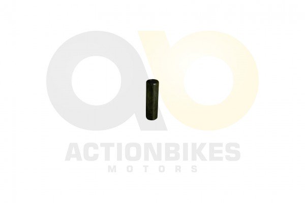 Actionbikes_Shineray_XY250STXE_Kolbenbolzen_313332