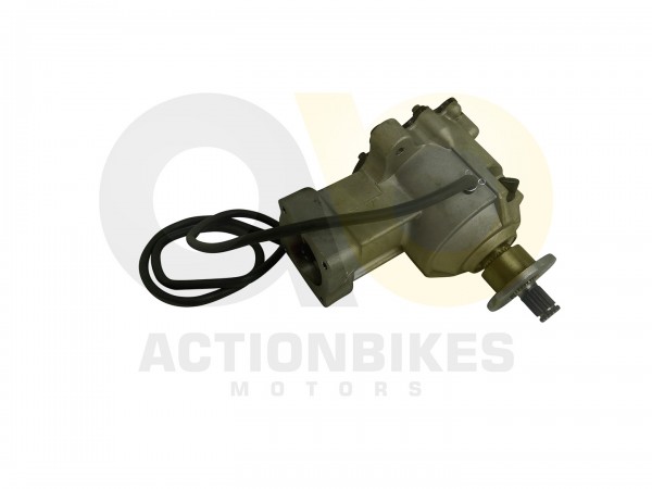 Actionbikes_Luck_Buggy_LK110_Getriebe_hinten_32353