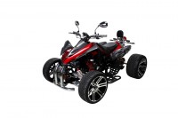 Actionbikes Speedslide Weinrot 33313237383037 IMG-0671 OL 1620x1080 - Farbe: Weinrot