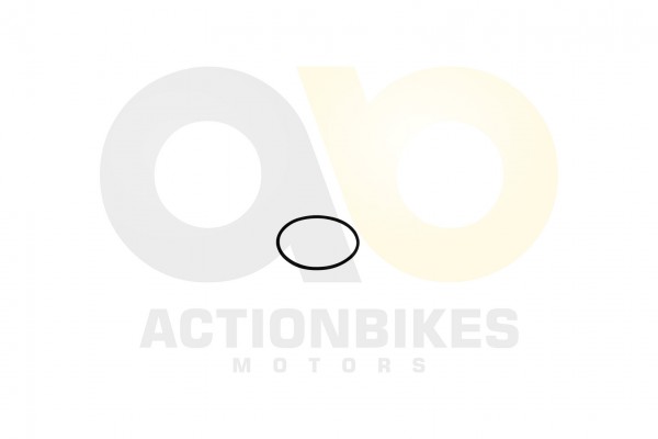 Actionbikes Egl-Mad-Max-300-Dichtring-lfilterdeckel 47422F54333435322E312D3536D7322E35 01 WZ 1620x10