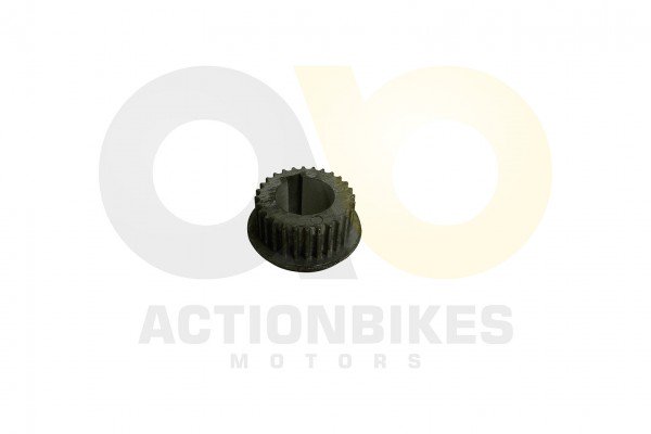 Actionbikes_Schneefrse_Raupe_Zahnriemenscheibe_Mot