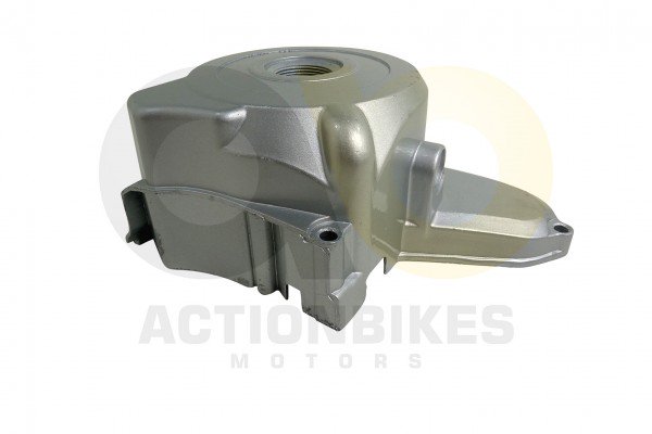 Actionbikes_Mini_Quad_110_cc_Lichtmaschinengehuse_