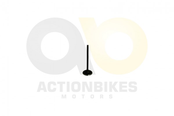 Actionbikes Egl-Mad-Max-300-Einlaventil 4D34302D3134313030312D3030 01 WZ 1620x1080