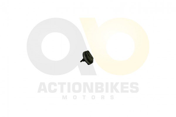 Actionbikes_Motor_250cc_CF172MM_lpumpe_mit_Welle_3
