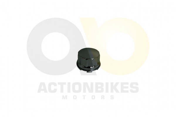 Actionbikes_Shineray_XY250ST_9C_Radabdeckung_37333