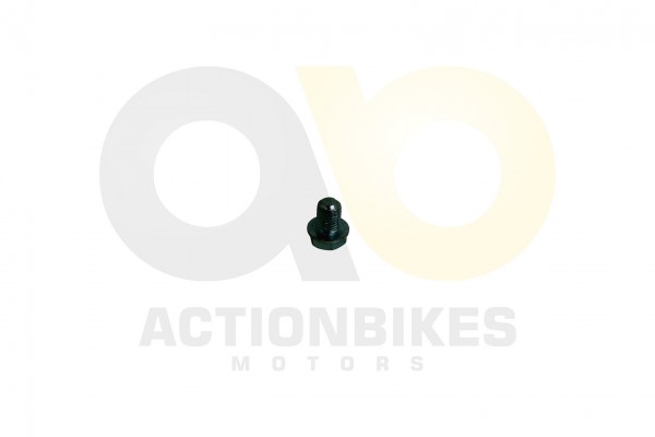 Actionbikes_Shineray_XY150STE_XY200ST_9_lablasssch