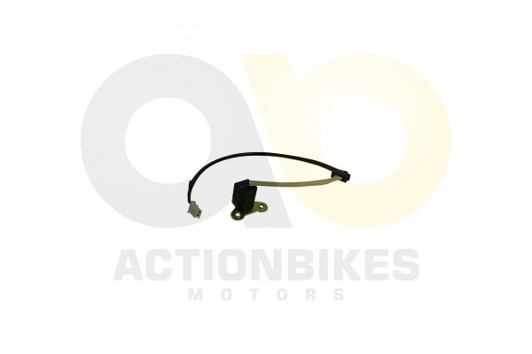 Actionbikes_Motor_250cc_CF172MM_Lichtmaschine_Puls