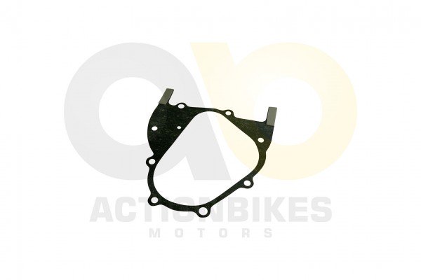 Actionbikes_Motor_152QMI_Dichtung_Getriebe_3131353