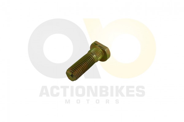 Actionbikes_Radbolzen_M10x125_x_30_mit_Schaftlnge_