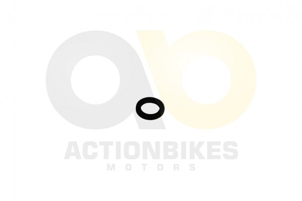 Actionbikes_Simmerring_142035_Motorgehuse_hinten_l