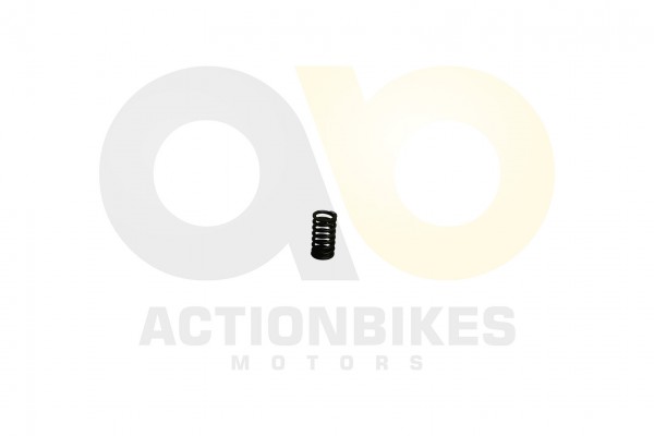 Actionbikes_Shineray_XY250SRM_Ventilfeder_klein_31