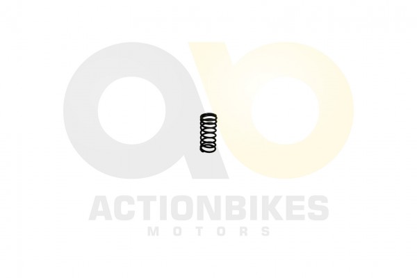 Actionbikes_Shineray_XY200ST_9_Ventilfeder_klein_4