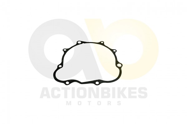 Actionbikes_Shineray_XY250STXE_Dichtung_Lichtmasch