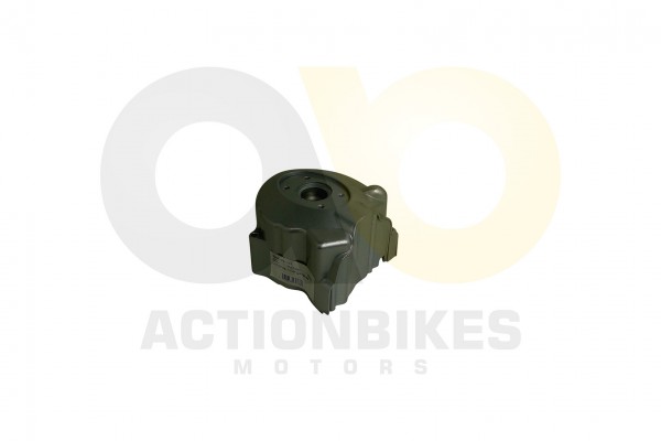 Actionbikes EGL-Maddex-50cc-Lichtmaschinengehuse 45303630312D3030312D373045 01 WZ 1620x1080