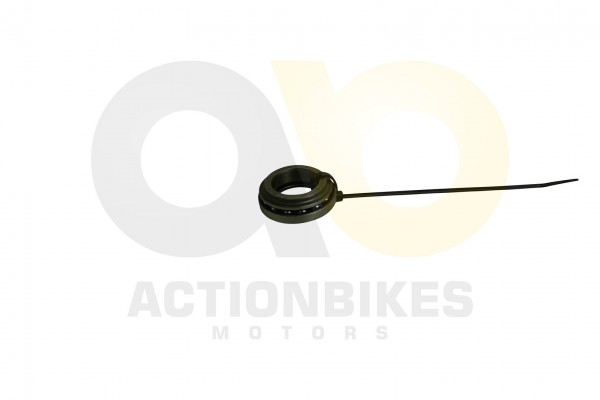 Actionbikes_Shineray_XY250ST_3E_Lenkkopflager_3436