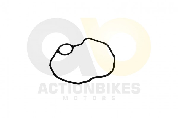 Actionbikes_Shineray_XY200STII_Dichtung_Ventildeck